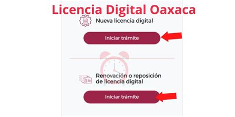 Citas SEMOVI Oaxaca Licencias ️®【2024】Placas